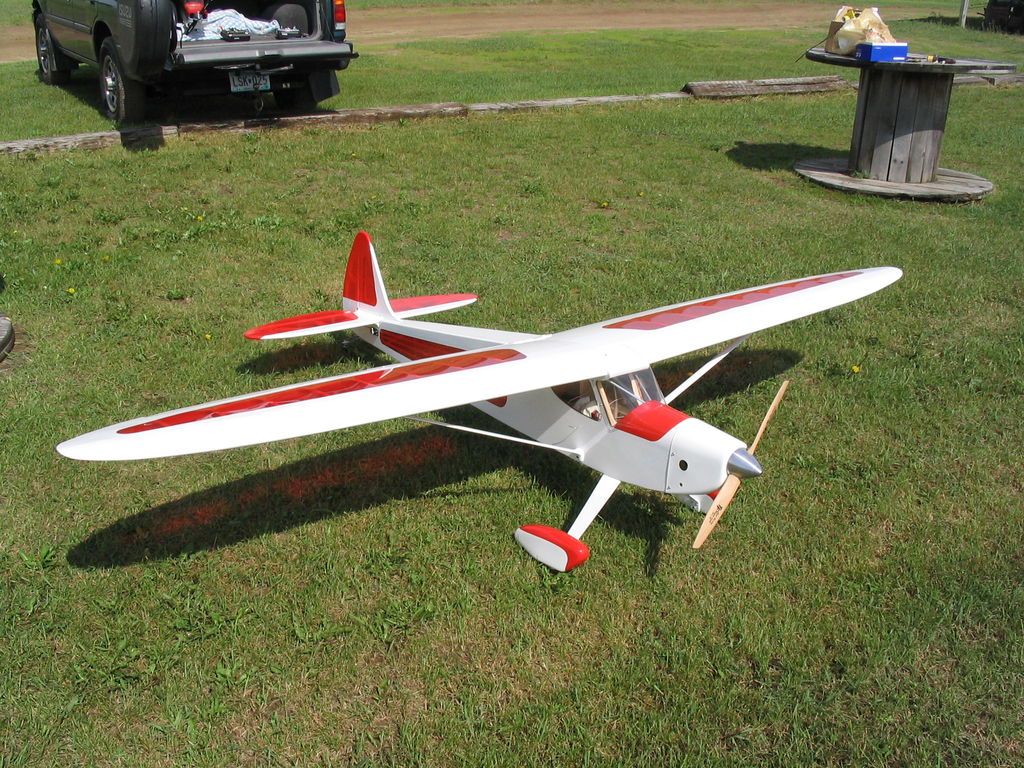 Rascal 110 best sale rc plane